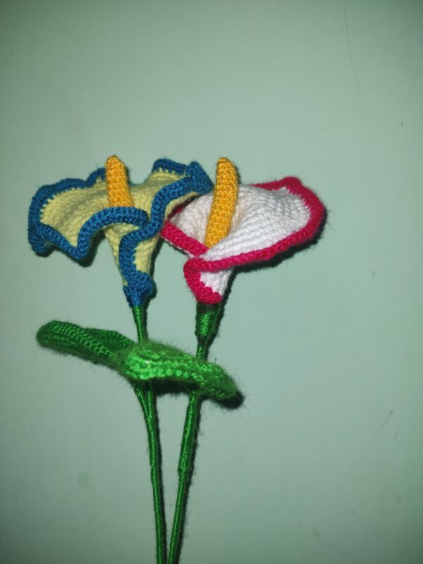 Carnation Flowers - Image 2