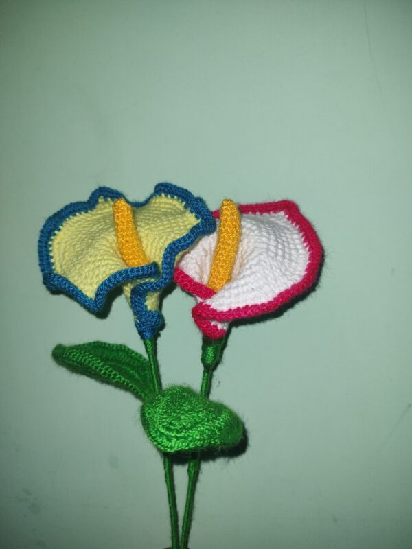 Carnation Flowers - Image 3
