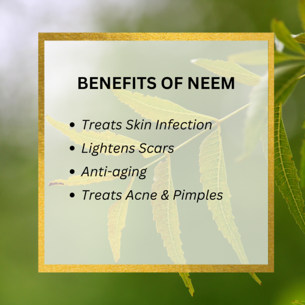 Neem and Kuppaimeni Soap - Image 5