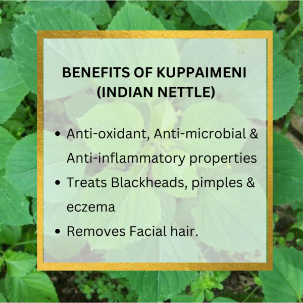 Neem and Kuppaimeni Soap - Image 6